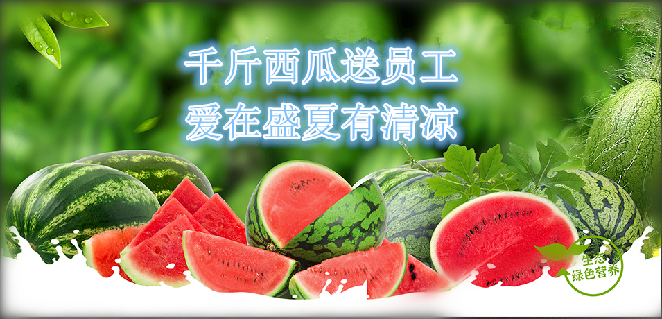 通達軟件公司： 千斤西瓜送員工，愛在盛夏有清涼